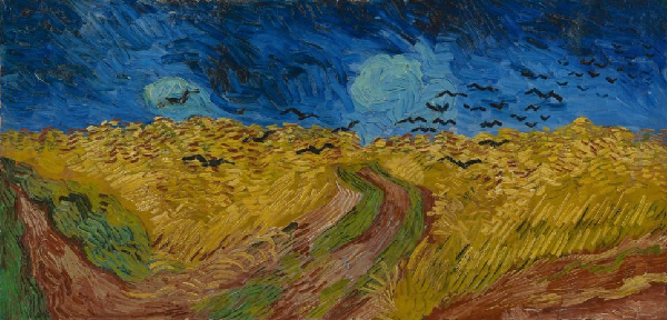 Abstract straw field with a dark blue sky