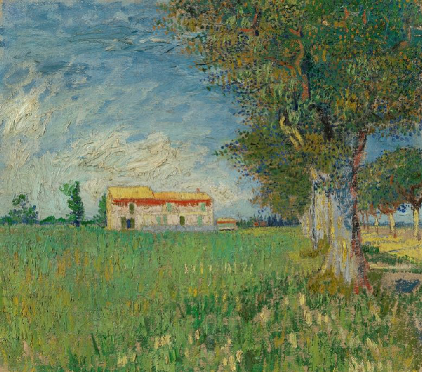 Old farmhouse situated in a green grassy field, with a row of trees